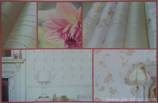 91香蕉视频免费下载墙纸批发样本